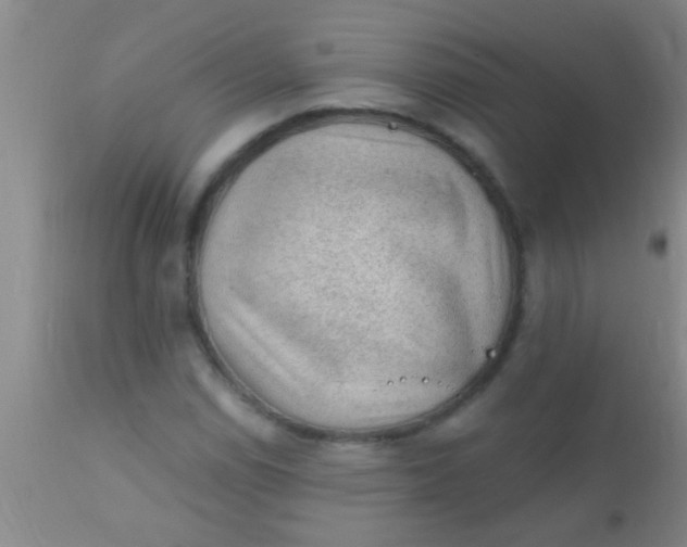 X0000110941114200907022127