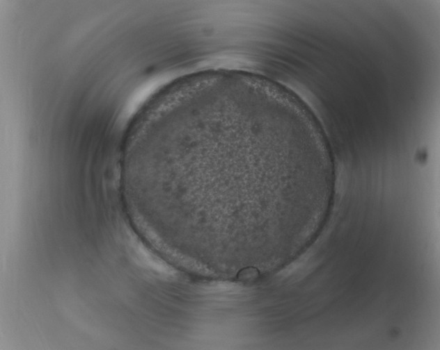 X0000110941115200907022127