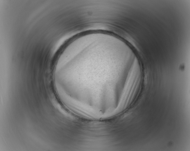 X0000110941116200907022127