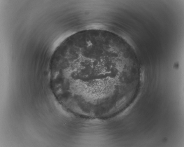 X0000110941117200907022127