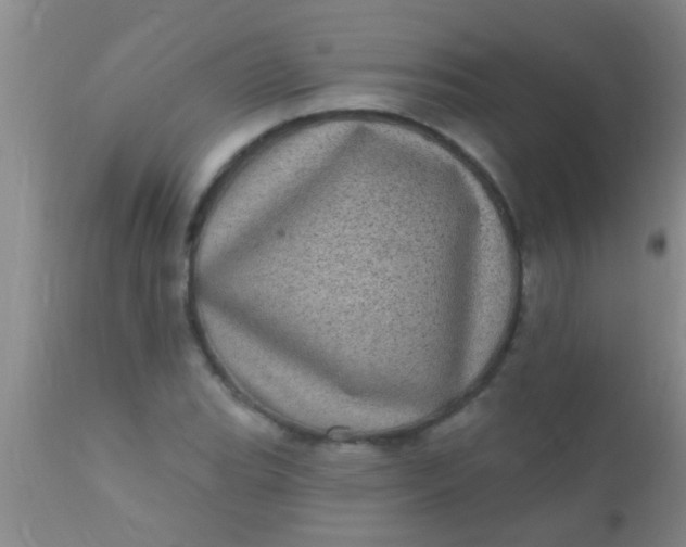 X0000110941119200907022127