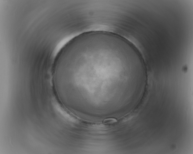 X0000110941120200907022127