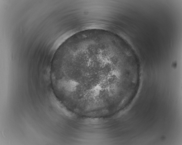 X0000110941121200907022127