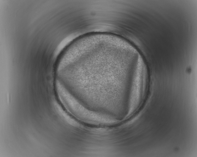 X0000110941122200907022127