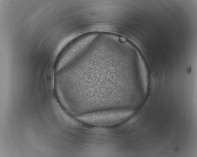 X0000110941123200907022127