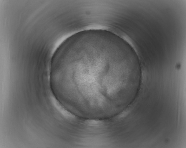 X0000110941124200907022127