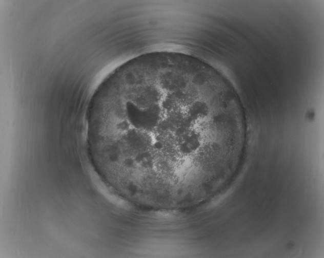 X0000110941125200907022127