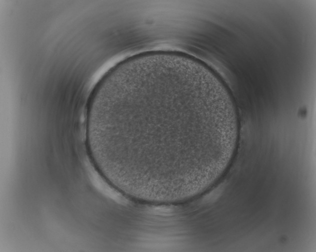 X0000110941126200907022127