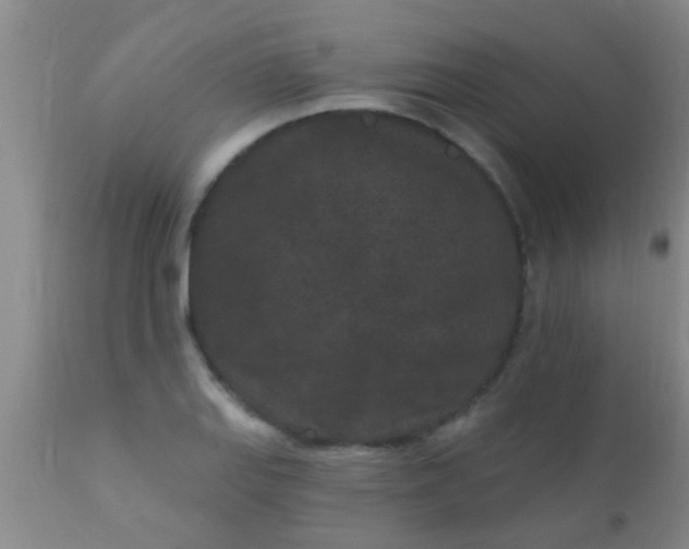 X0000110941127200907022127