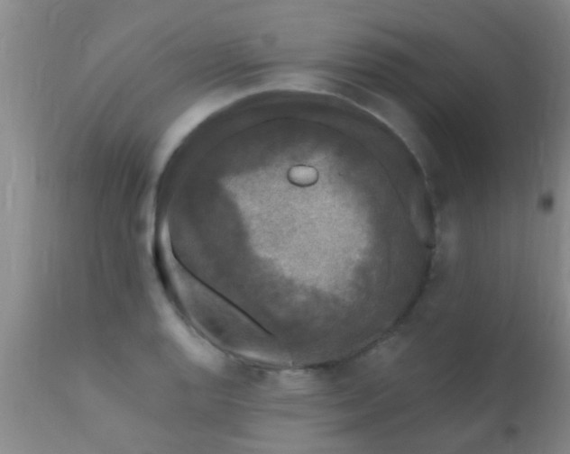 X0000110941128200907022127