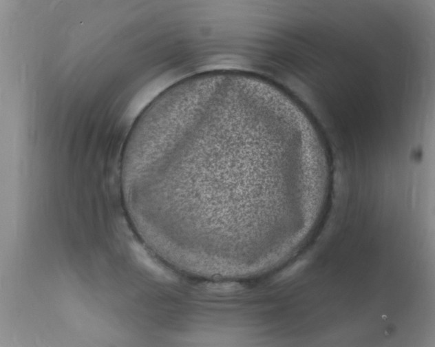 X0000110941129200907022127