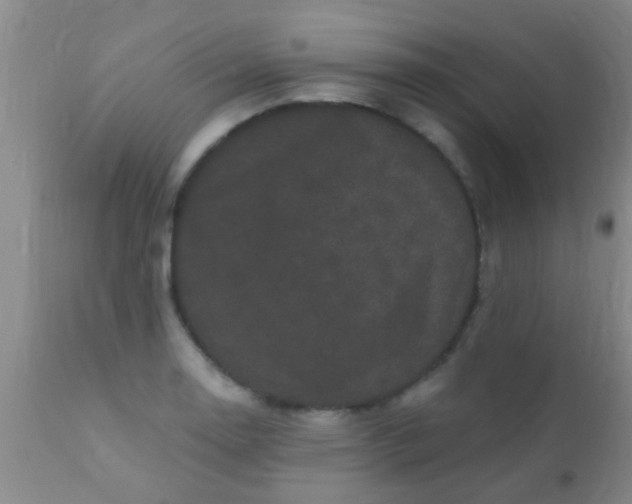 X0000110941130200907022127