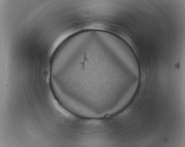 X0000110941131200907022127