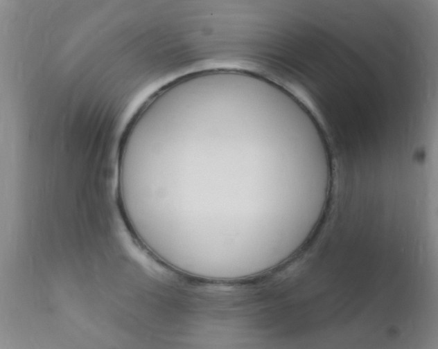 X0000110941132200907022127