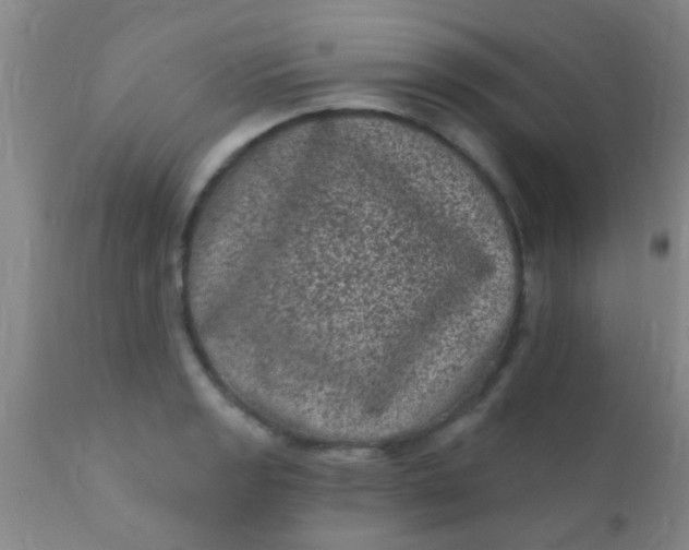 X0000110941133200907022127