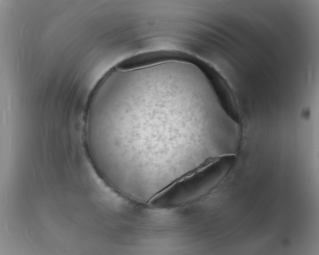 X0000110941134200907022127