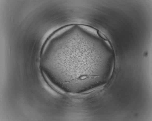 X0000110941136200907022127