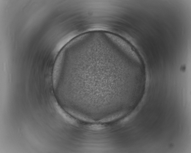 X0000110941137200907022127