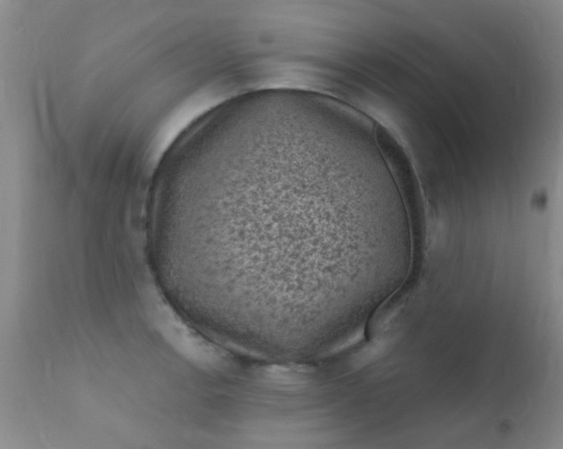 X0000110941138200907022127