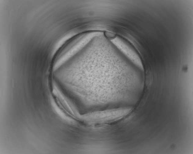 X0000110941139200907022127