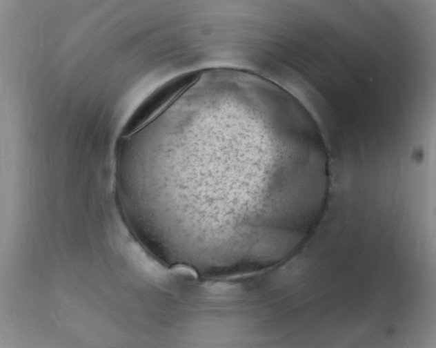 X0000110941140200907022127