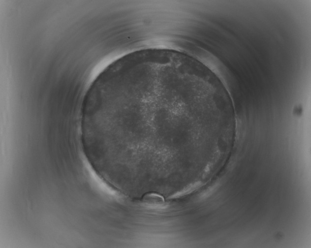 X0000110941141200907022127