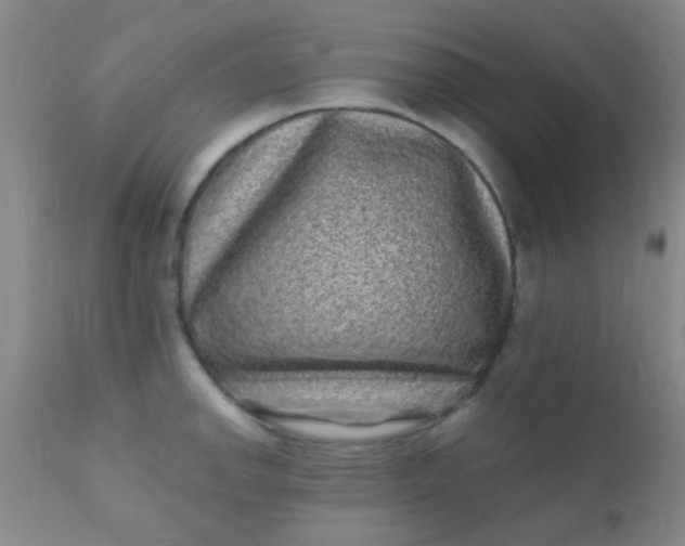 X0000110941142200907022127