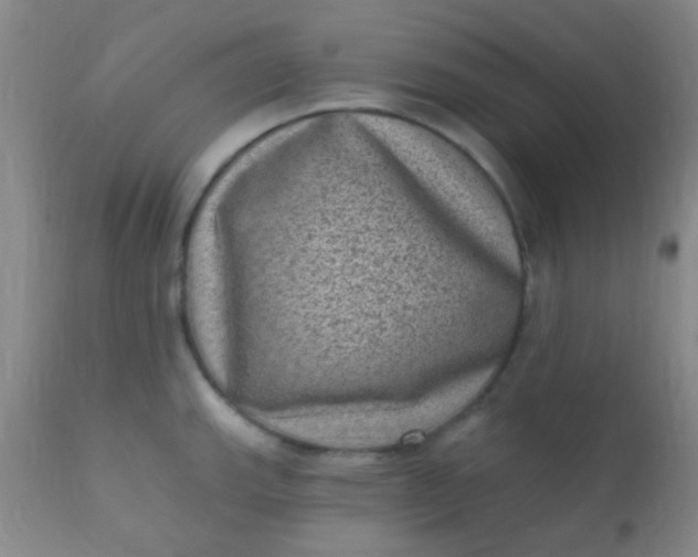 X0000110941143200907022127