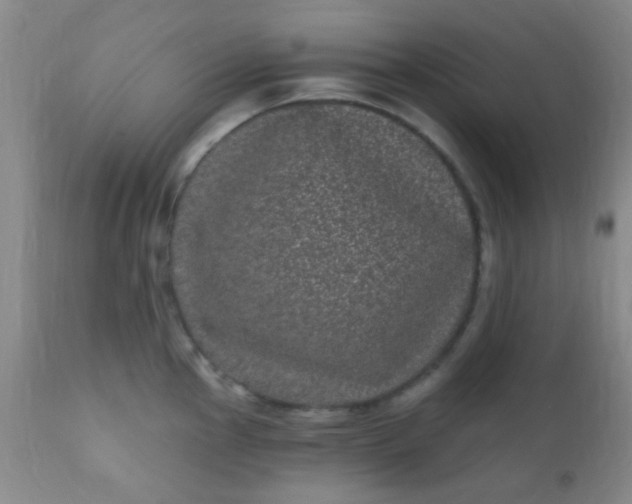 X0000110941145200907022127