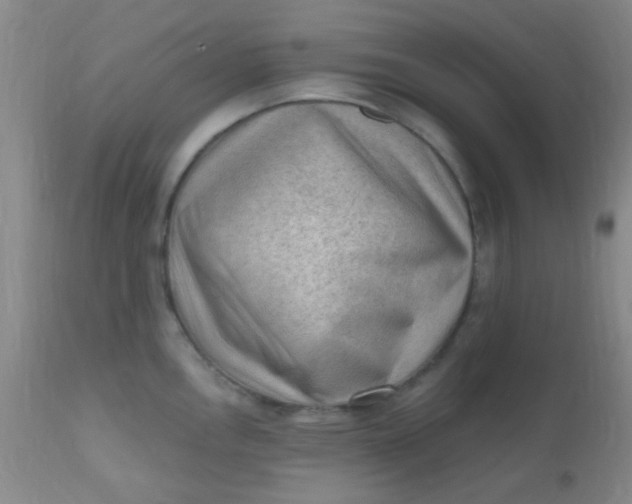 X0000110941146200907022127