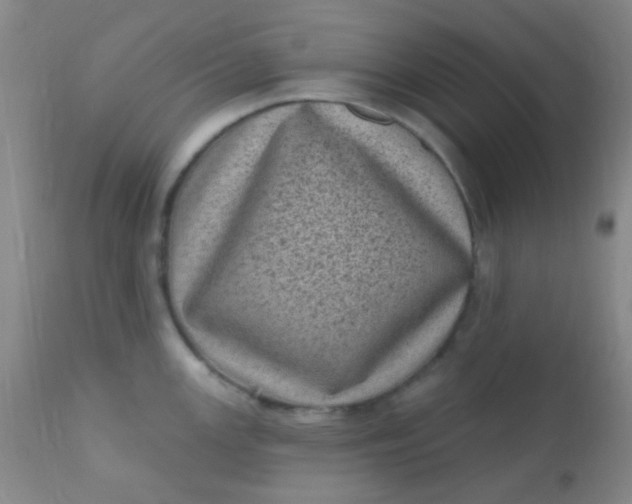 X0000110941147200907022127