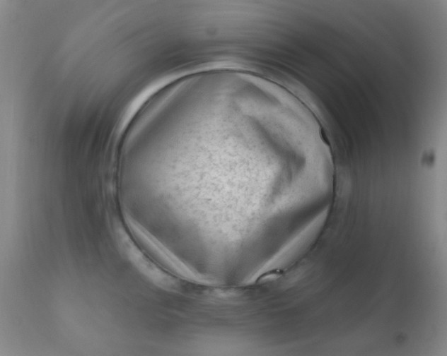 X0000110941148200907022127