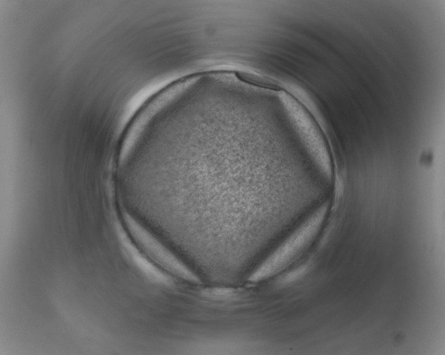 X0000110941149200907022127