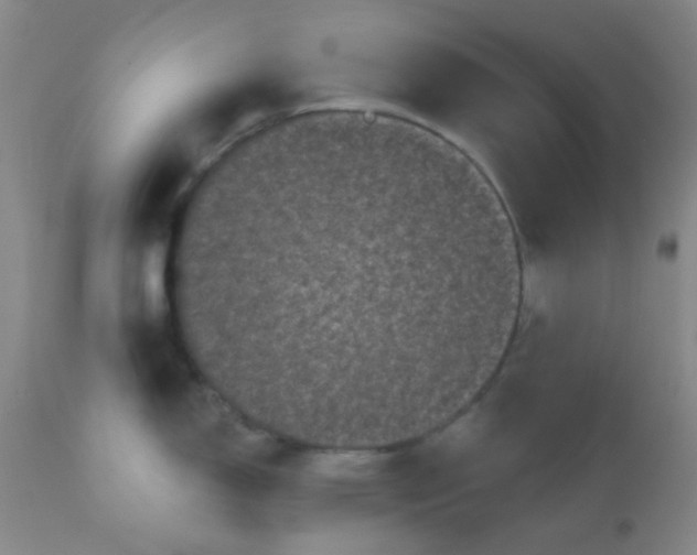 X0000110941150200907022127