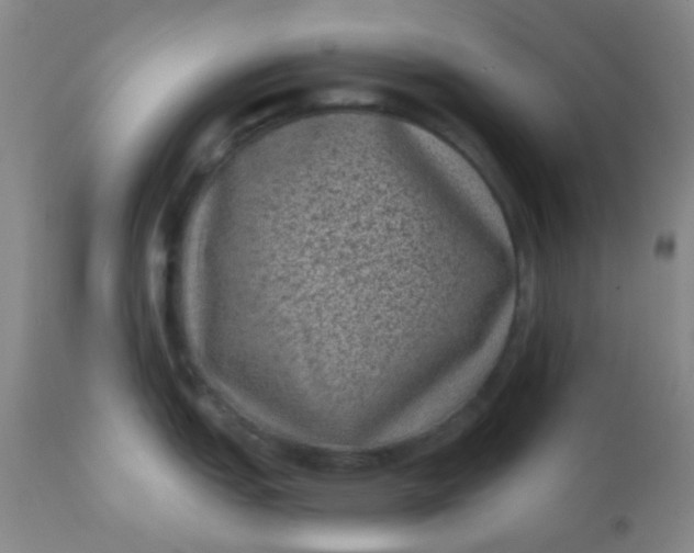 X0000110941151200907022127