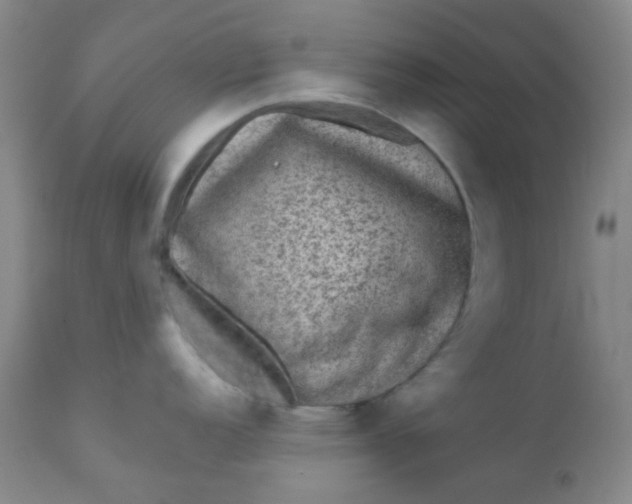 X0000110941152200907022127