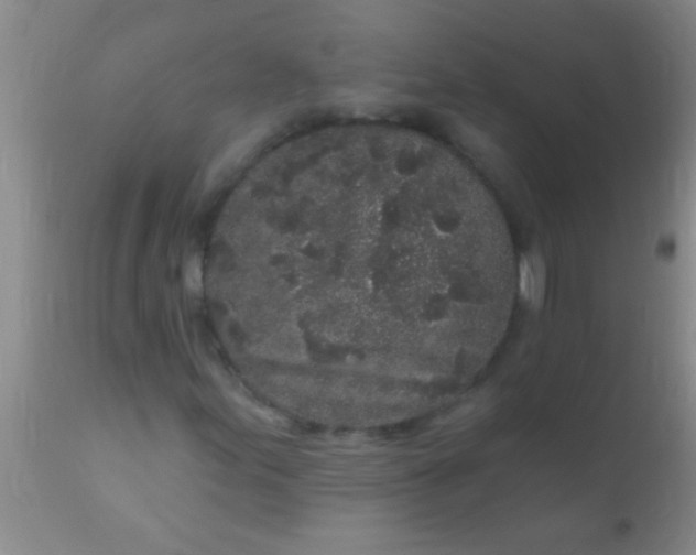 X0000110941155200907022127