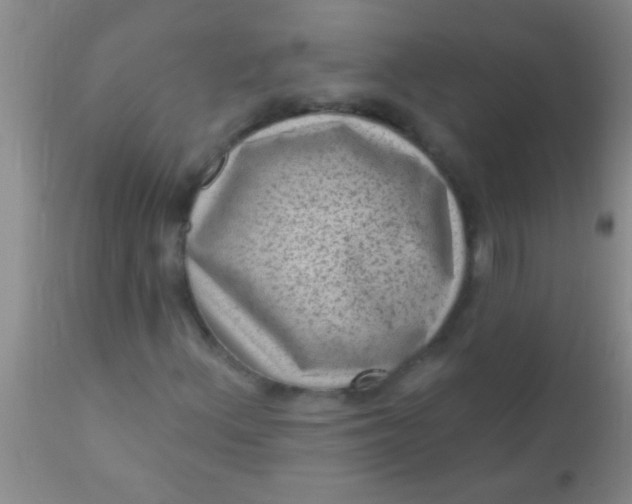 X0000110941156200907022127