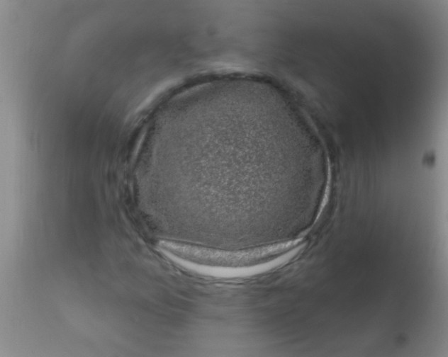 X0000110941157200907022127