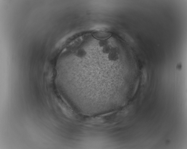 X0000110941158200907022127