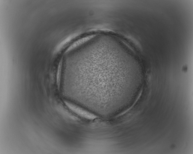 X0000110941159200907022127