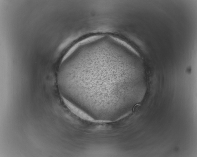 X0000110941160200907022127