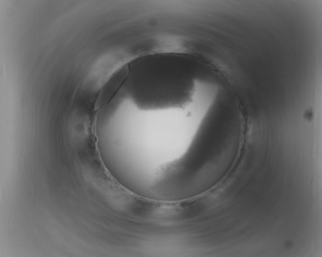 X0000110941161200907022127