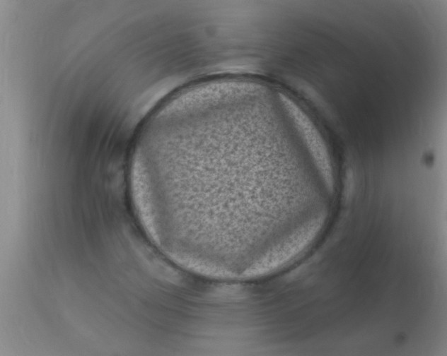 X0000110941162200907022127