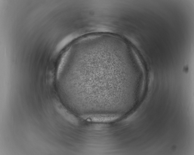 X0000110941163200907022126