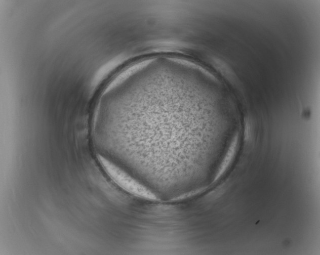 X0000110941164200907022126