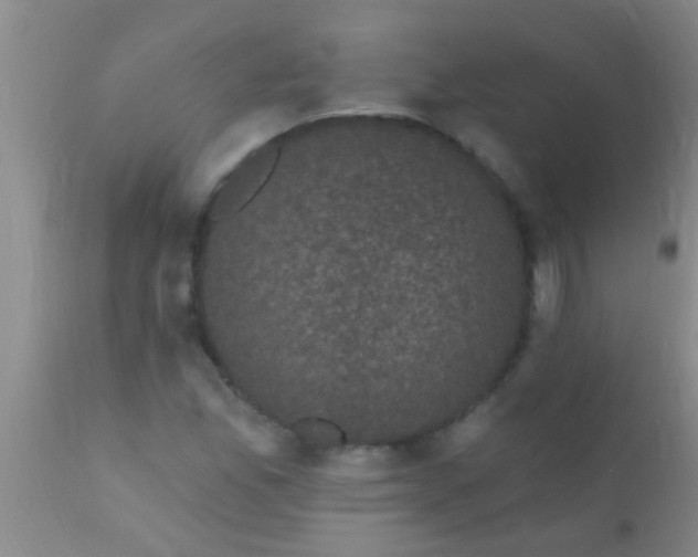 X0000110941165200907022126