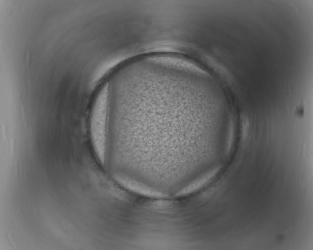 X0000110941166200907022126