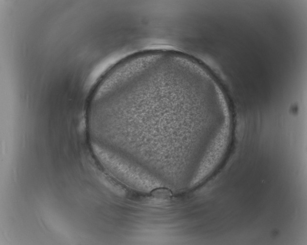 X0000110941167200907022126