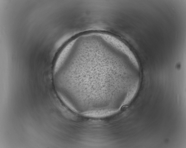 X0000110941168200907022126